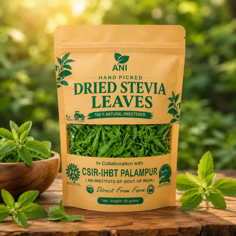 Dried Stevia Leaves