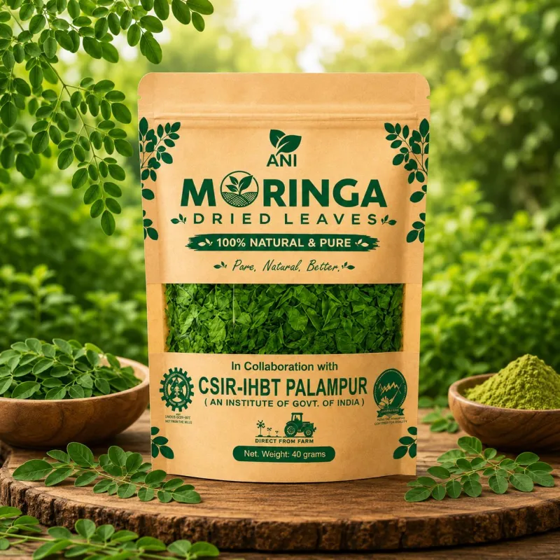 Premium Moringa Dried Leaves